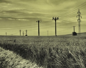 Krajina stvořená člověkem - Electrical Wheat Field