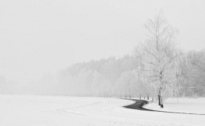 Černobílá poezie - Ledová Cesta