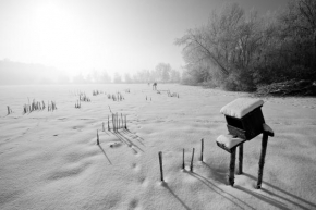 Černobílá poezie - Zimní Pohoda