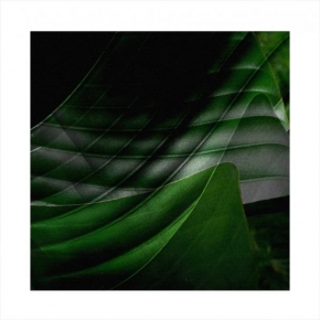 Rudy Chorvat - Green Leafs