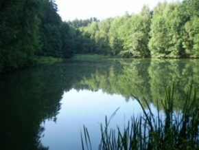 Krásy české a slovenské krajiny - Lesní rybník na Benešovsku