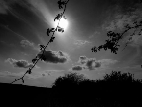 Černobílá poezie - Ve slunci