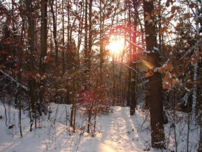 Fotograf roku v přírodě 2010 - Zimní  odpoledne