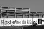 David Baumgartner - Rosteme do krásy
