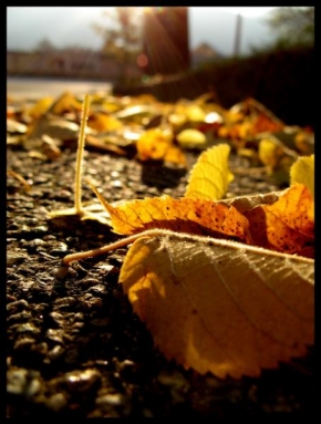 Na ulici - Podzimní ulice