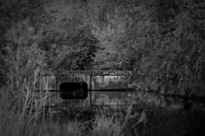 Černobílá poezie - Most