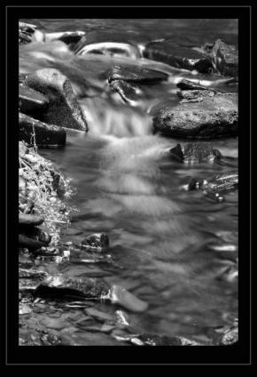Fotograf roku v přírodě 2010 - Voda