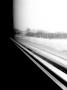 Line of life