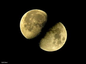 Večer a noc ve fotografii - Moonlight Shadow
