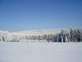 Fotograf roku v přírodě 2010 - Příroda pod sněhovou peřinou