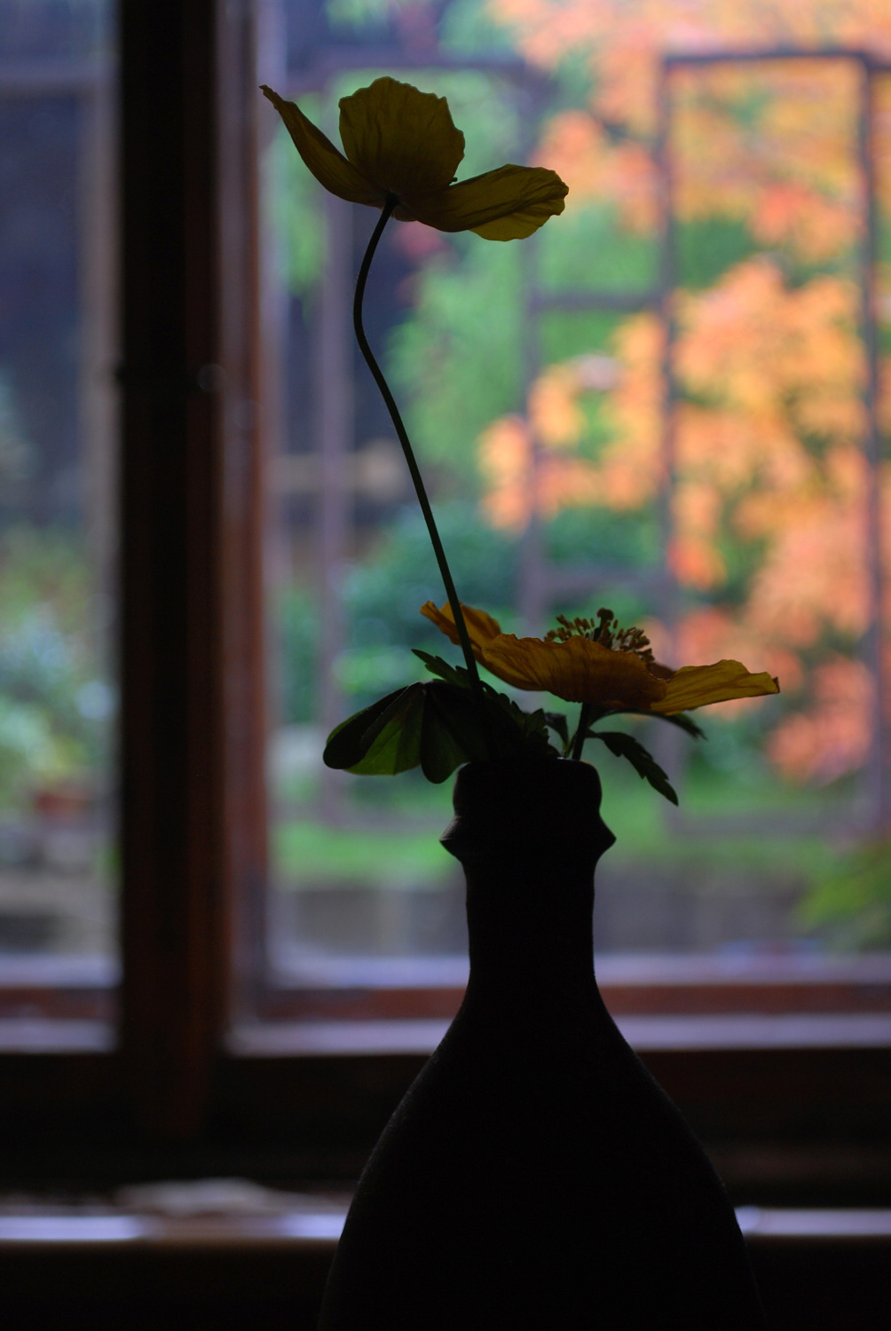 Podzim za oknem