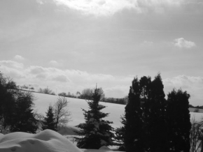 Černobílá poezie - Zimní krajina