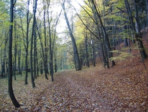 Krásy české a slovenské krajiny - Podzim v Pekle