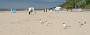 Jan Kohout - Jurmala