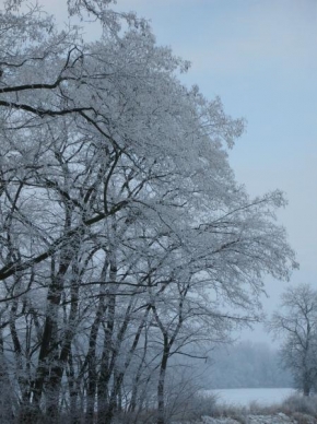 Krásy české a slovenské krajiny - Krása u zimě