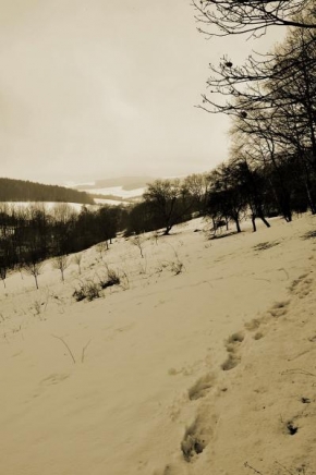 Krásy české a slovenské krajiny - Ticho před sněhovou bouří