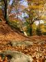 Luděk Glíž -Podzim v Chřibech