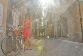 Fotograf roku na cestách 2010 - Slunce, bicykl a ona