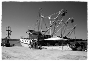 Fotograf roku na cestách 2010 - Rybáři