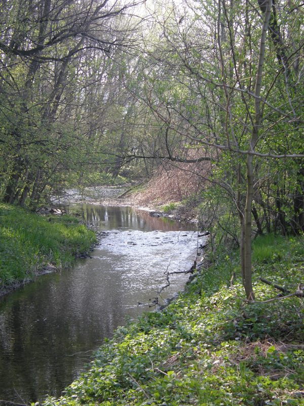 Jarní potok