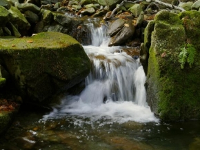 Krajina posedlá vodou - Bučací potok