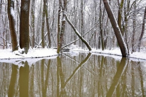Krajina posedlá vodou - Fotograf roku - Kreativita - Okolí jistebnických rybníků