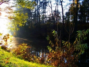 Slunce je veliký básník! - Sluníčko na břehu rybníka