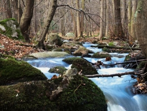 Krajina posedlá vodou - Potok