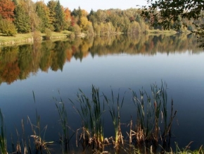 Hana Hendrichová - Podzim u jezera