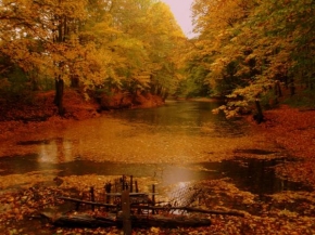 Krajina posedlá vodou - Podzimní Rybník