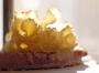 Tete de Moine 2