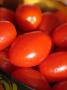 Cherry rajčinky