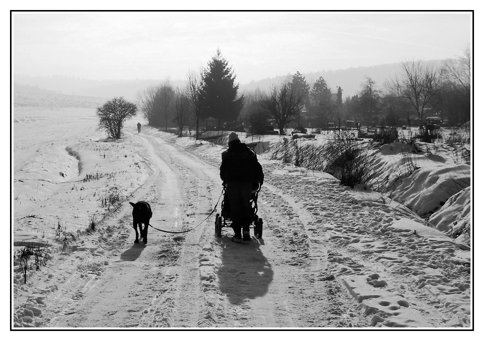 Zimní procházka