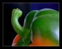 Paprika