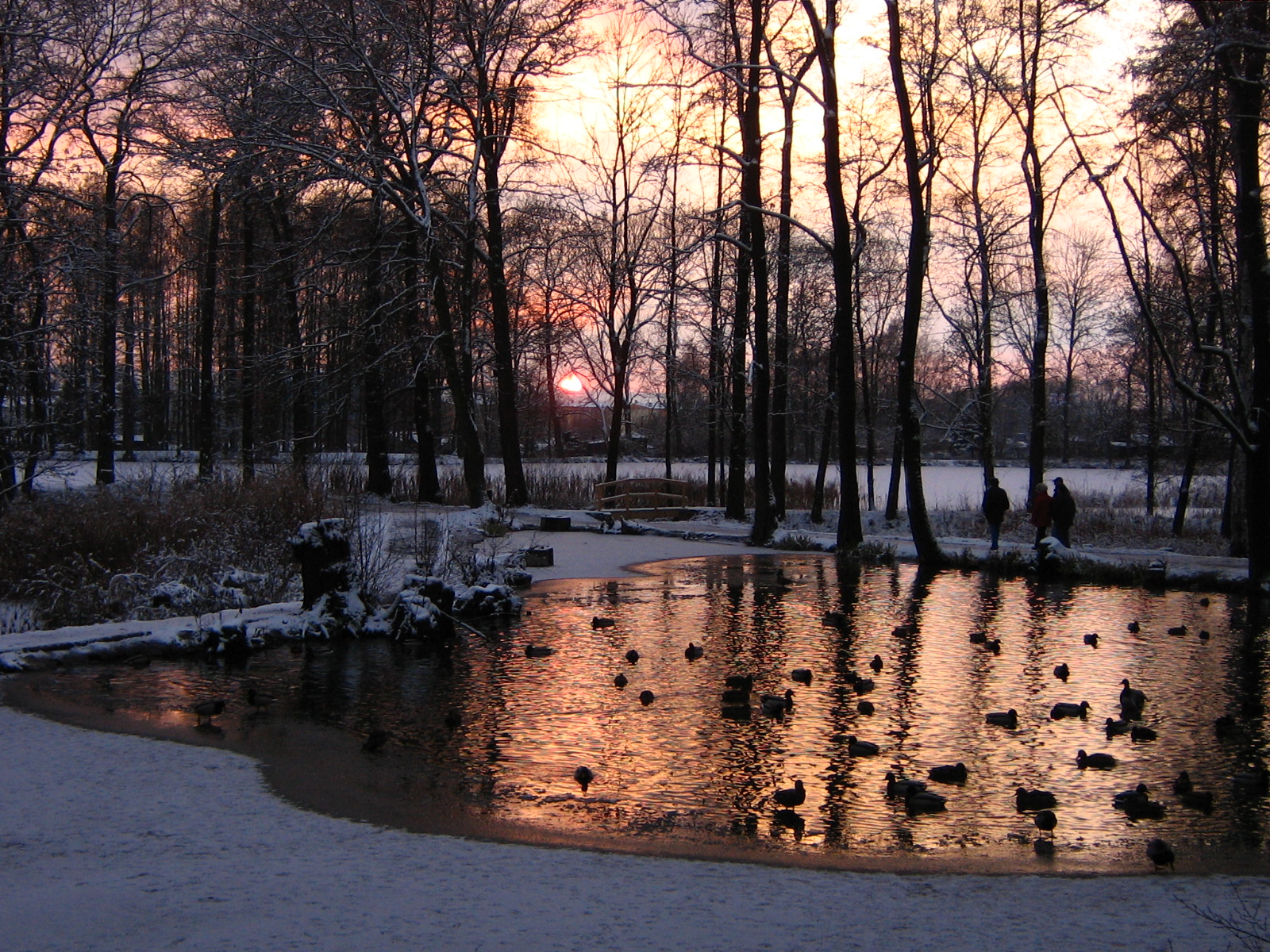 Malebný rybník při západu slunce