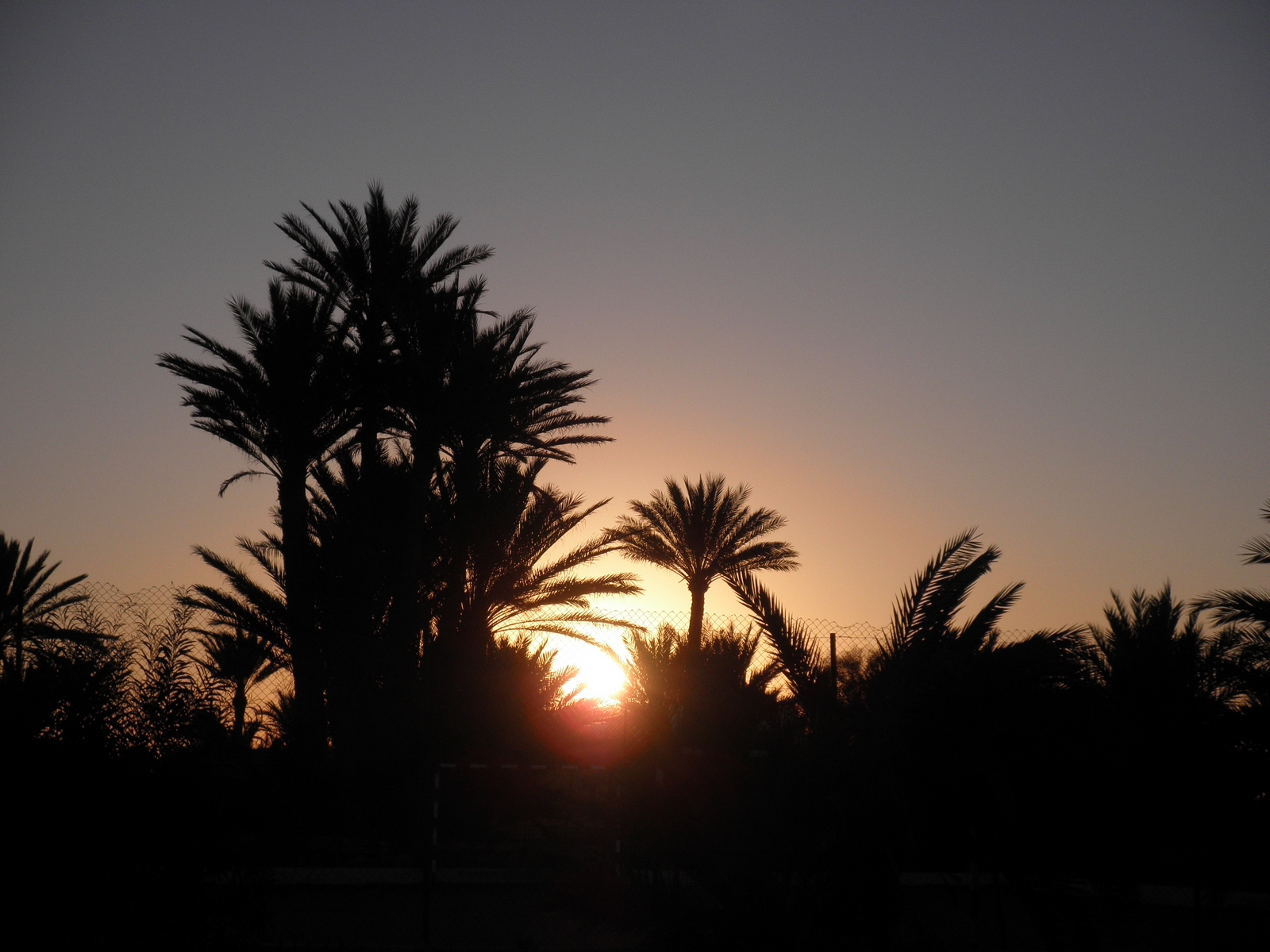 Djerba - východ slunce