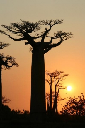 Slunce je veliký básník! - Západ slunce na Madagaskaru
