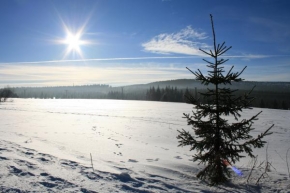 jan zavora - Jizerka v zime