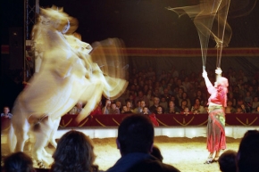 Miroslav Poul - V cirkusu