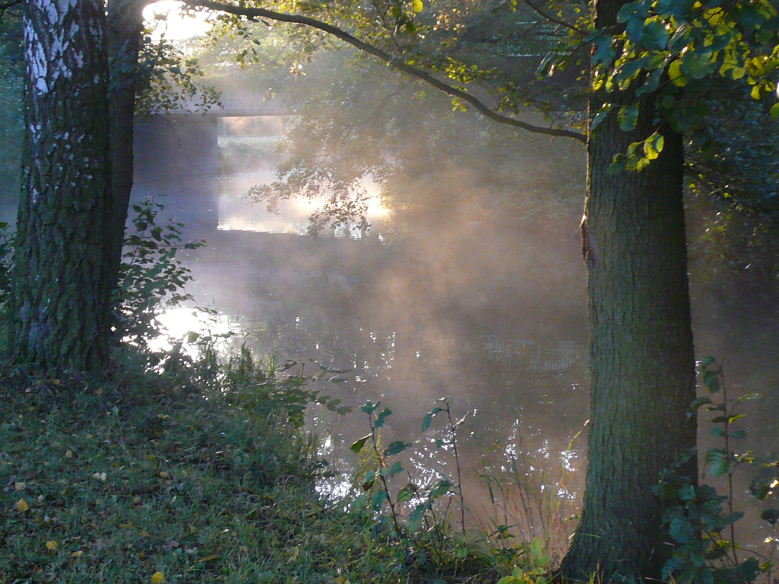 Svítání nad řekou