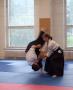 František Dařena - Aikibudo 1