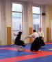 František Dařena - Aikibudo 2