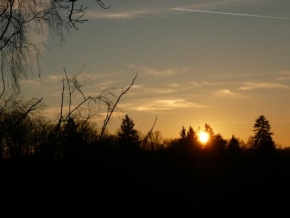 Slunce je veliký básník! - Západ slunce nad lesem
