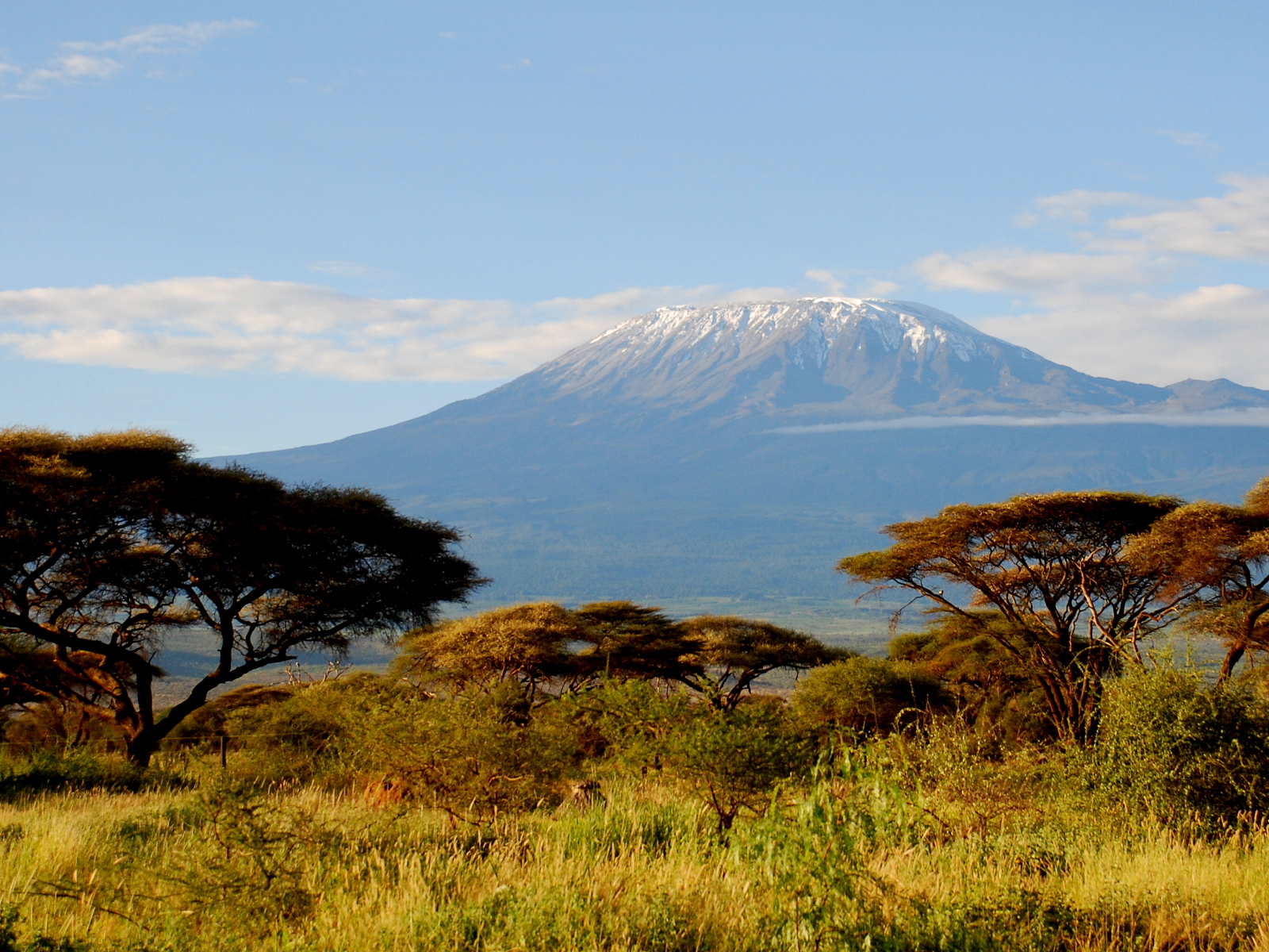 Kilimanžáro