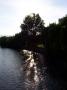Suntree