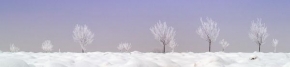 Fotograf roku v přírodě 2011 - Zima ve Vlčnově