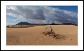Letem exotickým světem - Fotograf roku - kreativita - Fuerteventura II