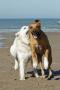Best friends