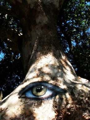Dívej se na mne! - I strom má oči