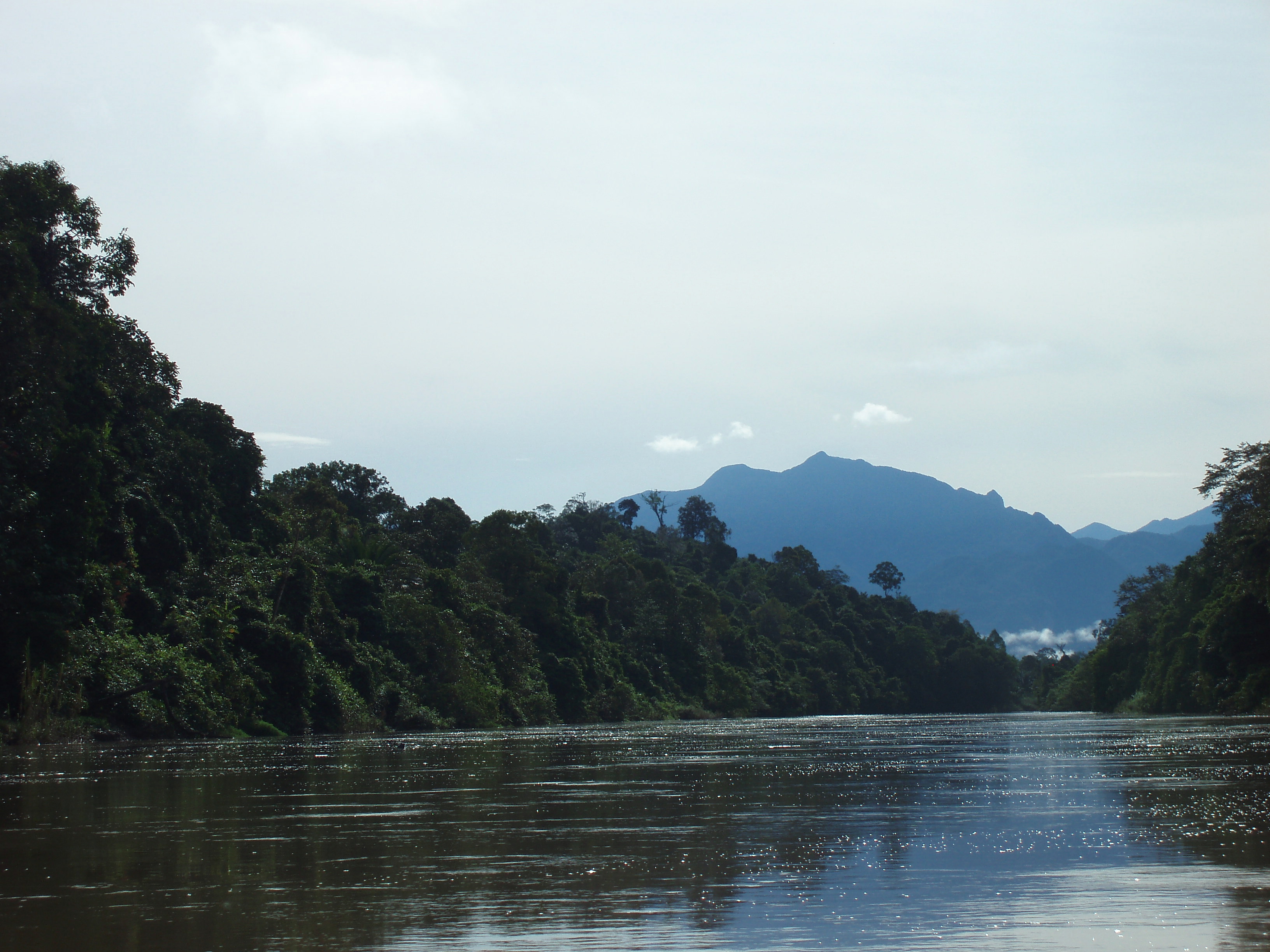 Cesta do nitra ostrova Borneo